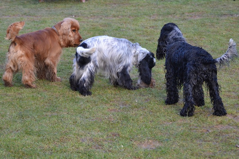 33-Intruz, Betty a Erik.JPG